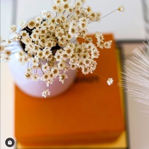 Meet your Posher, Nelwina